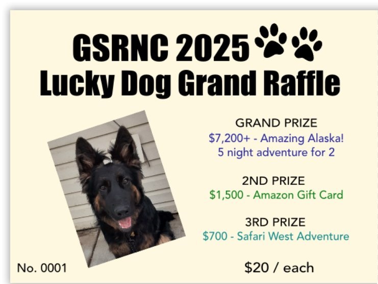 GSRNC Grand Raffle