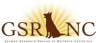 German Shepherd Rescue