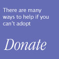 Donate